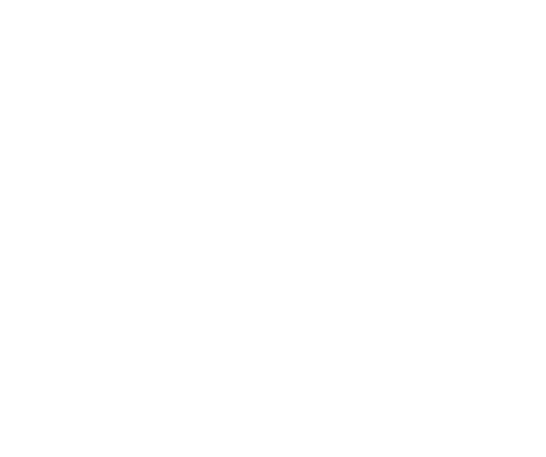 City of New Orleans